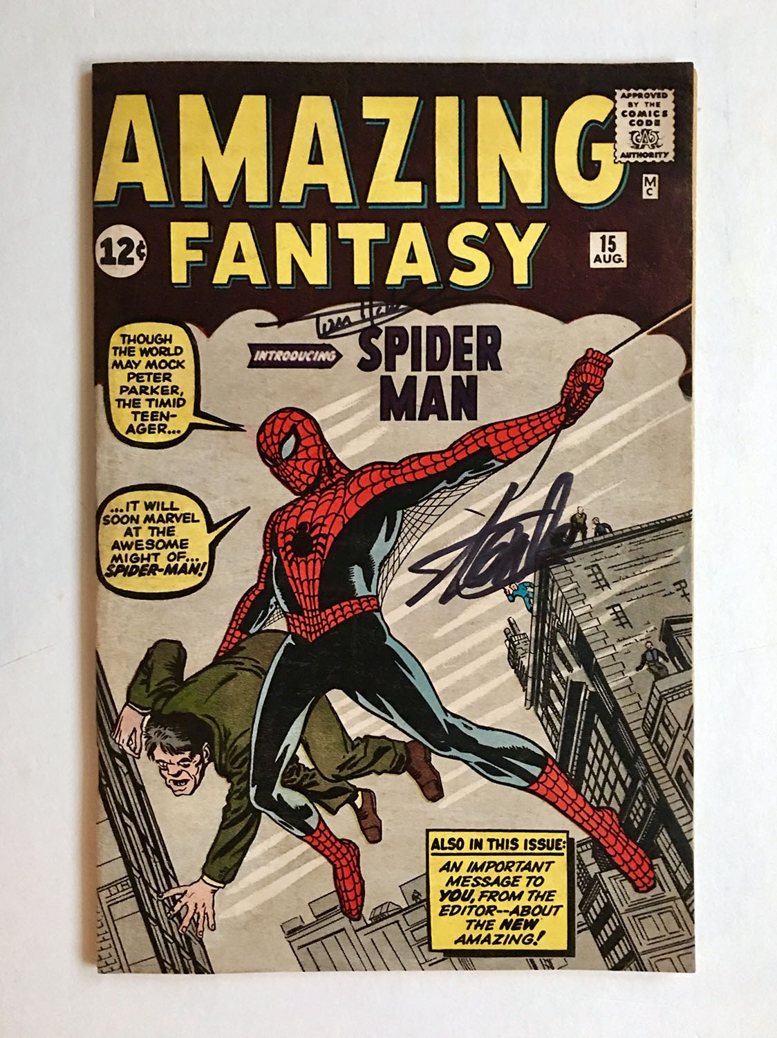 Amazing Fantasy #15 Front Cover After